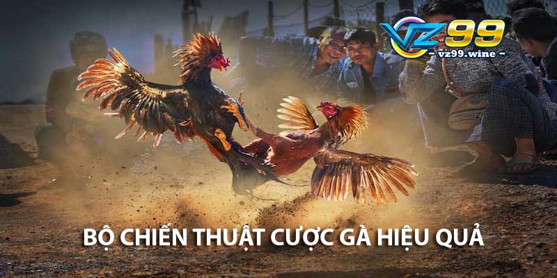 Bộ chiến thuật cược gà hiệu quả