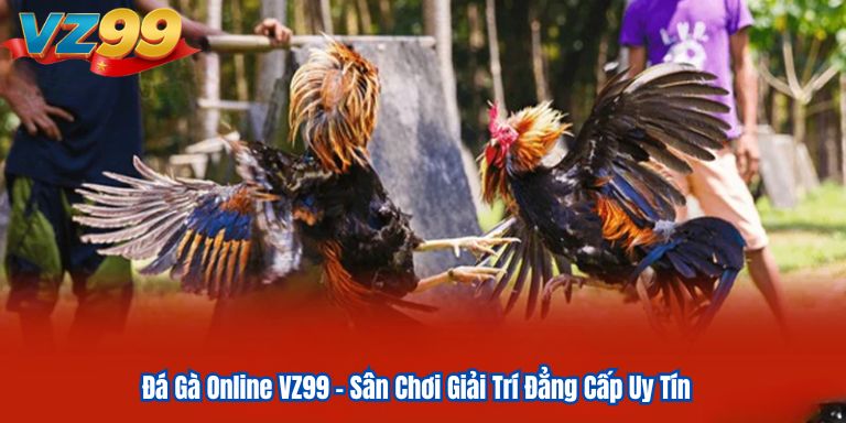 Đá Gà Online VZ99 – Sân Chơi Giải Trí Đẳng Cấp Uy Tín